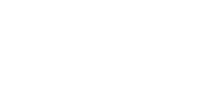 N.K. Stav a.s.